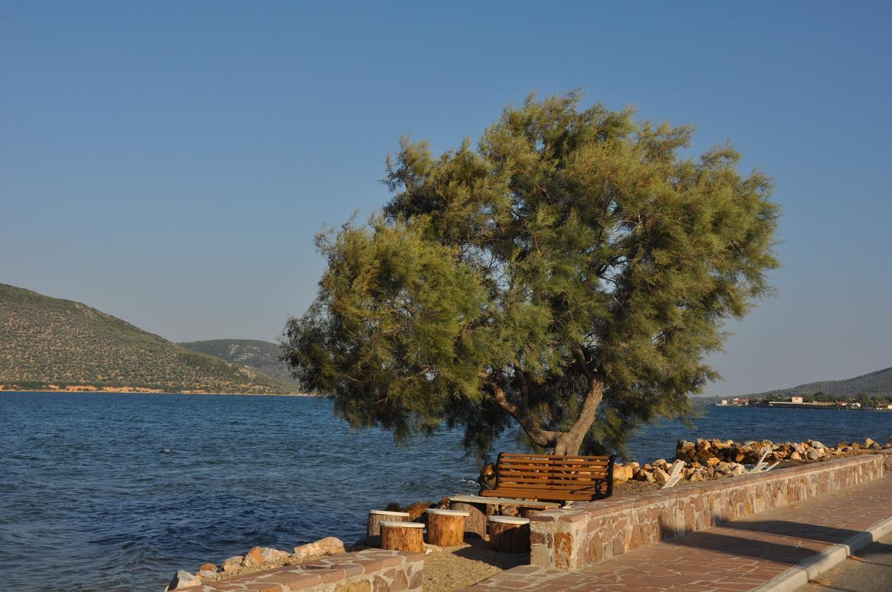 Ariadnes Holiday Accommodation Apidias Lakos Ngoại thất bức ảnh
